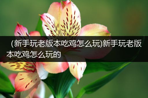 （新手玩老版本吃鸡怎么玩)新手玩老版本吃鸡怎么玩的