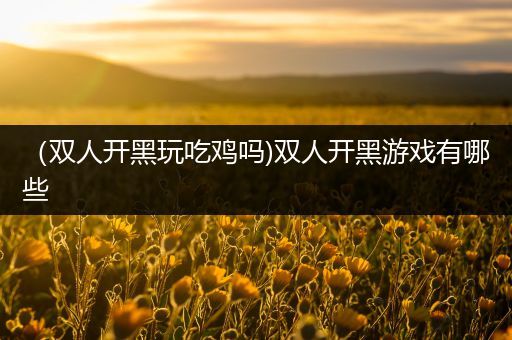（双人开黑玩吃鸡吗)双人开黑游戏有哪些