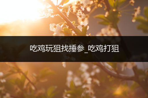 吃鸡玩狙找捶参_吃鸡打狙