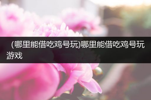 （哪里能借吃鸡号玩)哪里能借吃鸡号玩游戏