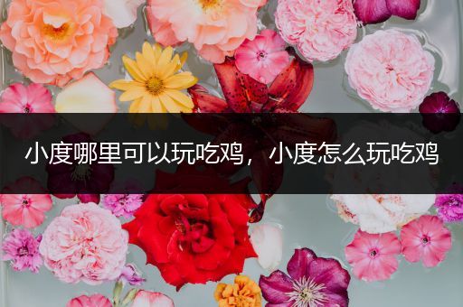 小度哪里可以玩吃鸡，小度怎么玩吃鸡