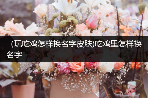 （玩吃鸡怎样换名字皮肤)吃鸡里怎样换名字