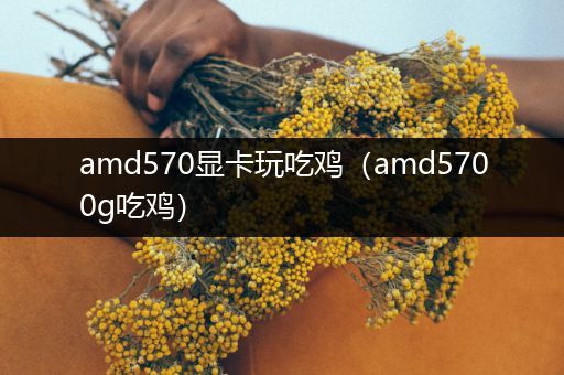 amd570显卡玩吃鸡（amd5700g吃鸡）