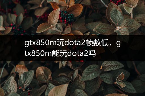 gtx850m玩dota2帧数低，gtx850m能玩dota2吗