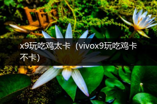 x9玩吃鸡太卡（vivox9玩吃鸡卡不卡）