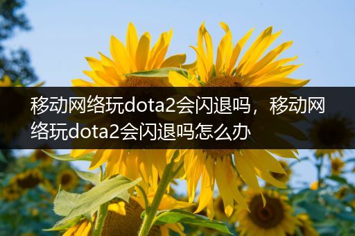 移动网络玩dota2会闪退吗，移动网络玩dota2会闪退吗怎么办
