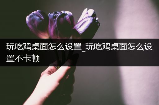 玩吃鸡桌面怎么设置_玩吃鸡桌面怎么设置不卡顿