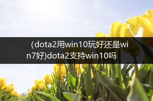 （dota2用win10玩好还是win7好)dota2支持win10吗