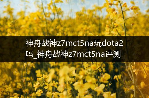 神舟战神z7mct5na玩dota2吗_神舟战神z7mct5na评测