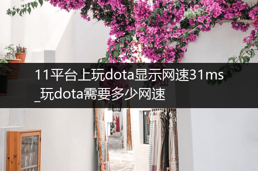 11平台上玩dota显示网速31ms_玩dota需要多少网速