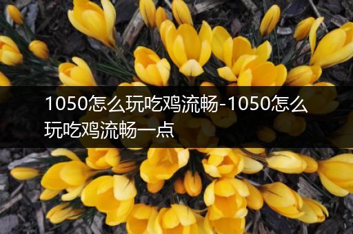 1050怎么玩吃鸡流畅-1050怎么玩吃鸡流畅一点