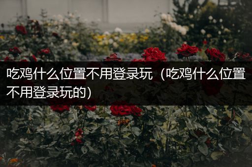 吃鸡什么位置不用登录玩（吃鸡什么位置不用登录玩的）