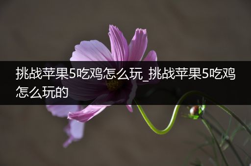 挑战苹果5吃鸡怎么玩_挑战苹果5吃鸡怎么玩的