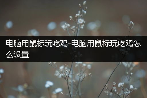 电脑用鼠标玩吃鸡-电脑用鼠标玩吃鸡怎么设置