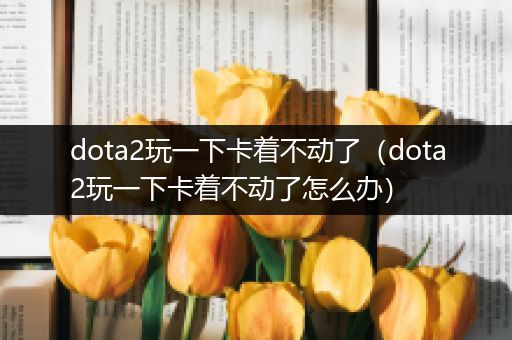 dota2玩一下卡着不动了（dota2玩一下卡着不动了怎么办）