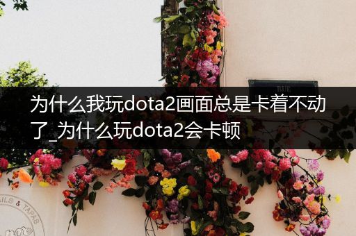 为什么我玩dota2画面总是卡着不动了_为什么玩dota2会卡顿