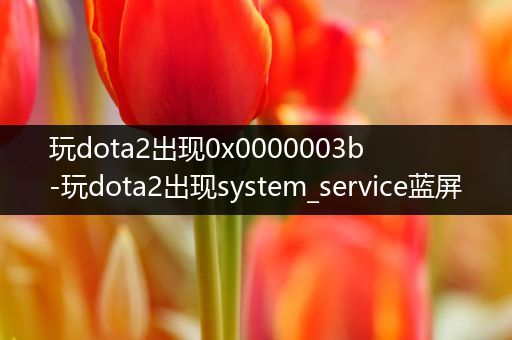 玩dota2出现0x0000003b-玩dota2出现system_service蓝屏