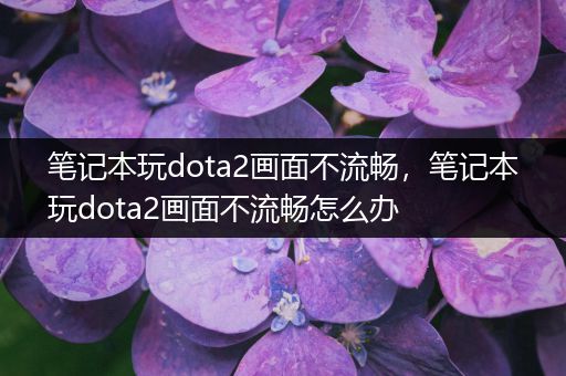 笔记本玩dota2画面不流畅，笔记本玩dota2画面不流畅怎么办