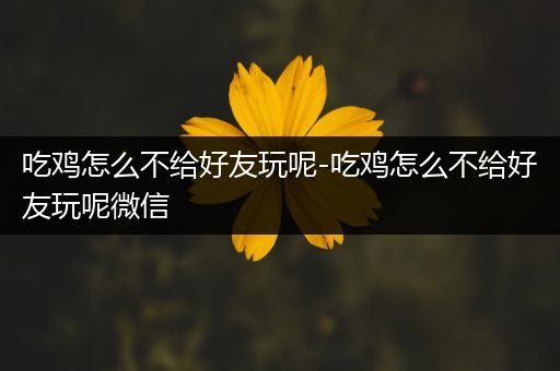 吃鸡怎么不给好友玩呢-吃鸡怎么不给好友玩呢微信