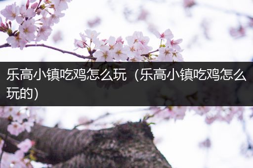 乐高小镇吃鸡怎么玩（乐高小镇吃鸡怎么玩的）