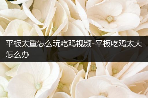 平板太重怎么玩吃鸡视频-平板吃鸡太大怎么办