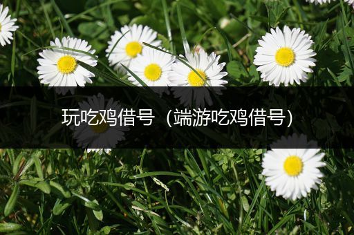 玩吃鸡借号（端游吃鸡借号）