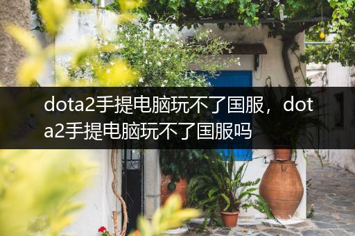 dota2手提电脑玩不了国服，dota2手提电脑玩不了国服吗