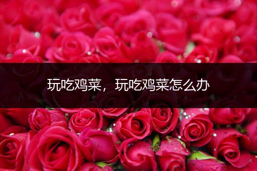 玩吃鸡菜，玩吃鸡菜怎么办