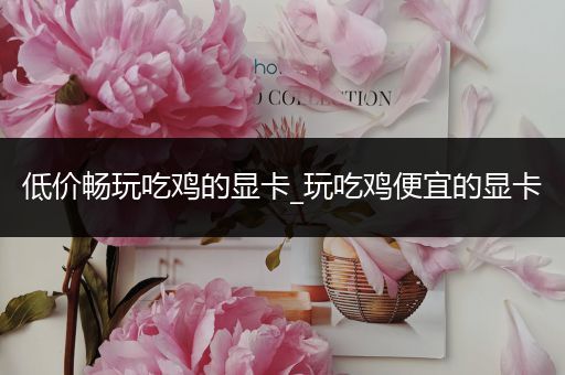 低价畅玩吃鸡的显卡_玩吃鸡便宜的显卡