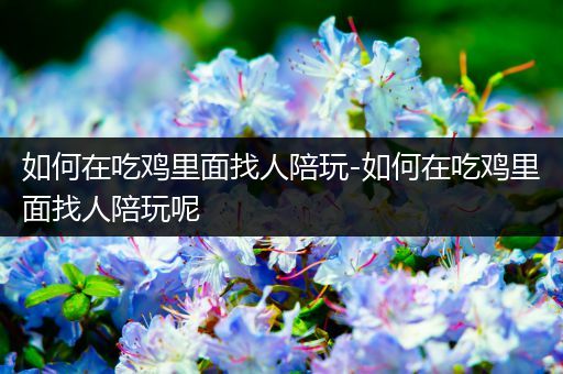 如何在吃鸡里面找人陪玩-如何在吃鸡里面找人陪玩呢