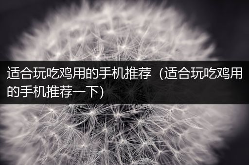 适合玩吃鸡用的手机推荐（适合玩吃鸡用的手机推荐一下）