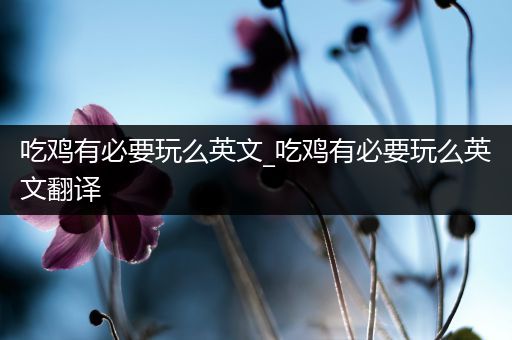 吃鸡有必要玩么英文_吃鸡有必要玩么英文翻译