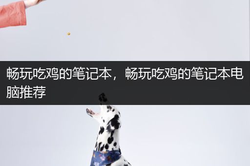 畅玩吃鸡的笔记本，畅玩吃鸡的笔记本电脑推荐