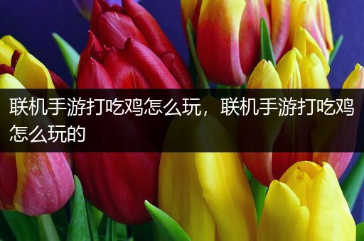 联机手游打吃鸡怎么玩，联机手游打吃鸡怎么玩的