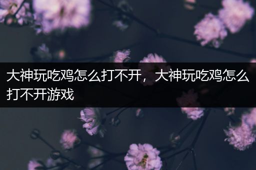 大神玩吃鸡怎么打不开，大神玩吃鸡怎么打不开游戏