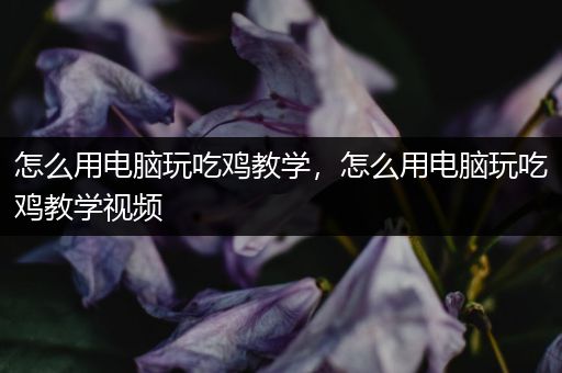 怎么用电脑玩吃鸡教学，怎么用电脑玩吃鸡教学视频