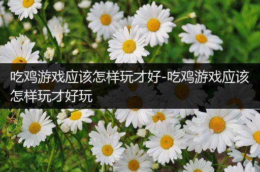 吃鸡游戏应该怎样玩才好-吃鸡游戏应该怎样玩才好玩