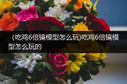 （吃鸡6倍镜模型怎么玩)吃鸡6倍镜模型怎么玩的