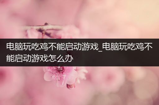 电脑玩吃鸡不能启动游戏_电脑玩吃鸡不能启动游戏怎么办