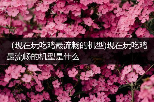 （现在玩吃鸡最流畅的机型)现在玩吃鸡最流畅的机型是什么