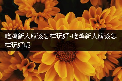 吃鸡新人应该怎样玩好-吃鸡新人应该怎样玩好呢