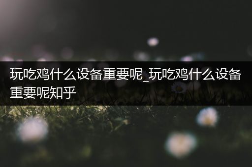 玩吃鸡什么设备重要呢_玩吃鸡什么设备重要呢知乎