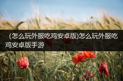 （怎么玩外服吃鸡安卓版)怎么玩外服吃鸡安卓版手游