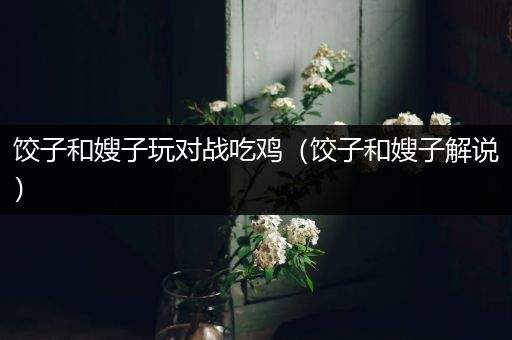 饺子和嫂子玩对战吃鸡（饺子和嫂子解说）