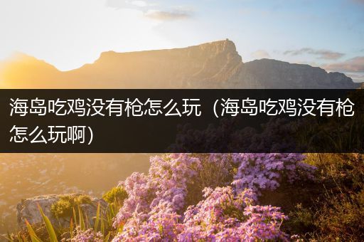 海岛吃鸡没有枪怎么玩（海岛吃鸡没有枪怎么玩啊）