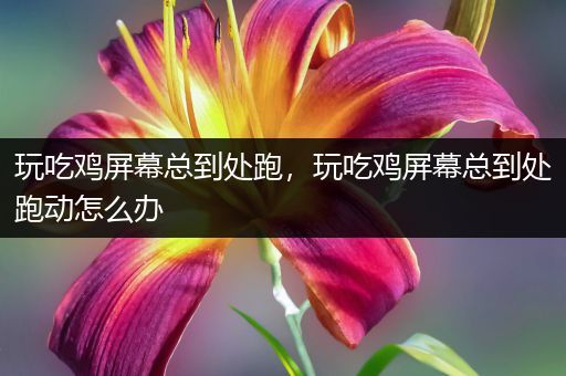 玩吃鸡屏幕总到处跑，玩吃鸡屏幕总到处跑动怎么办