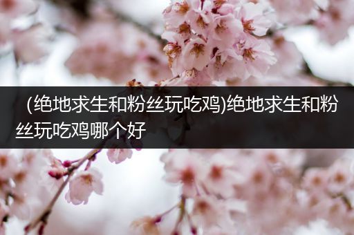 （绝地求生和粉丝玩吃鸡)绝地求生和粉丝玩吃鸡哪个好