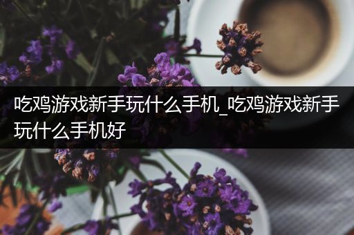 吃鸡游戏新手玩什么手机_吃鸡游戏新手玩什么手机好
