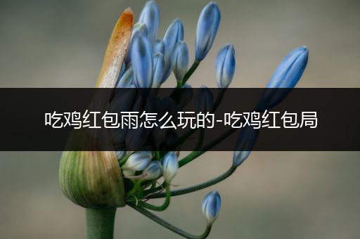吃鸡红包雨怎么玩的-吃鸡红包局