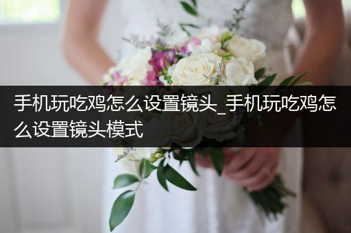 手机玩吃鸡怎么设置镜头_手机玩吃鸡怎么设置镜头模式